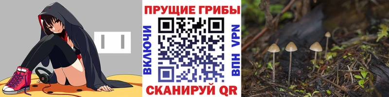 Галлюциногенные грибы Psilocybe darknet как зайти Костомукша